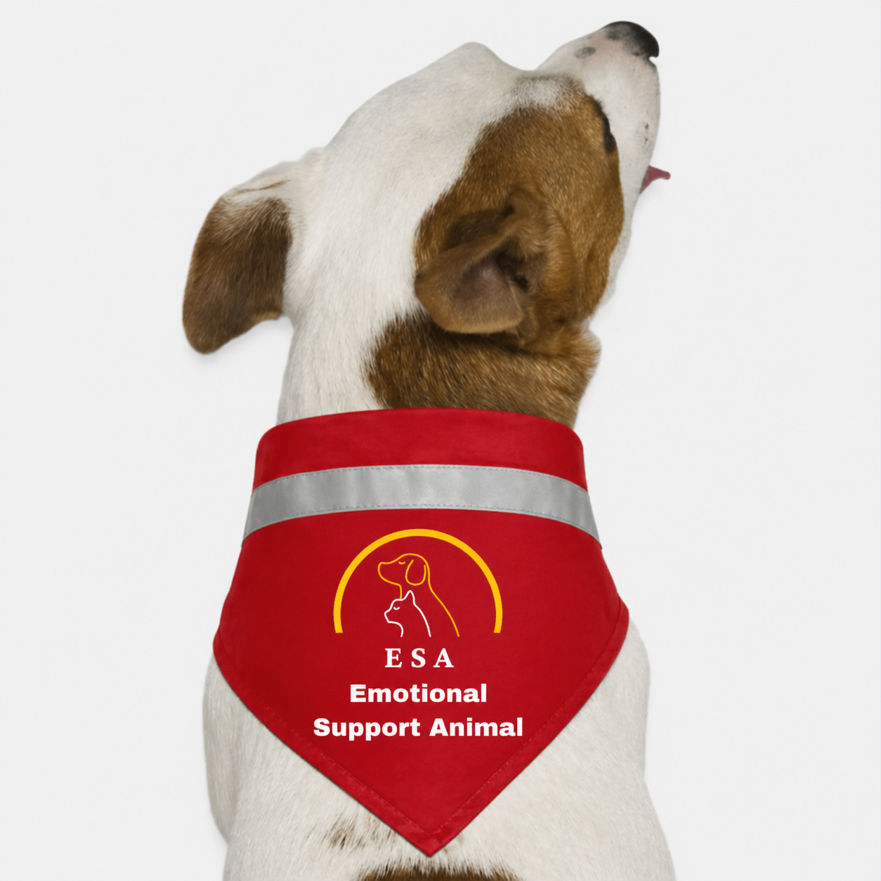 ESA Bandana 21cm x 21cm x 23cm