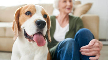 Visual Reference: Emotional Support Animal Register